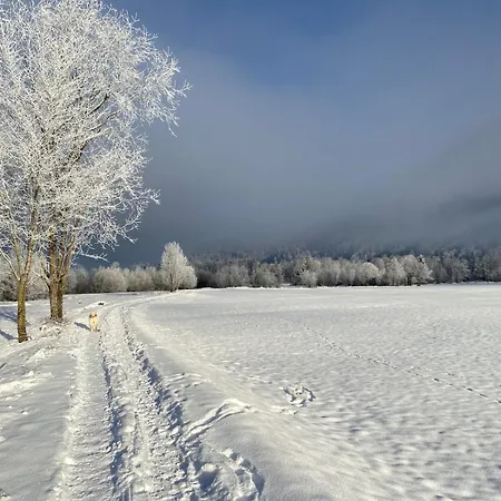 Lichtpunkt - Gaestesuite شقة فيستينو